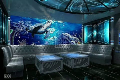 吉安ktv预订畅享商务ktv玩法-峡江县ktv预订
